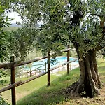 Malagronda-4 By Interhome * Ravigliano